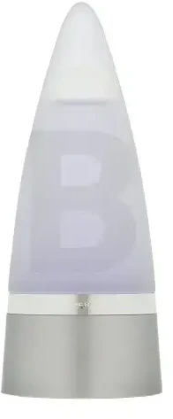 Rochas Man tualetinis vanduo, purškiamas 100ml