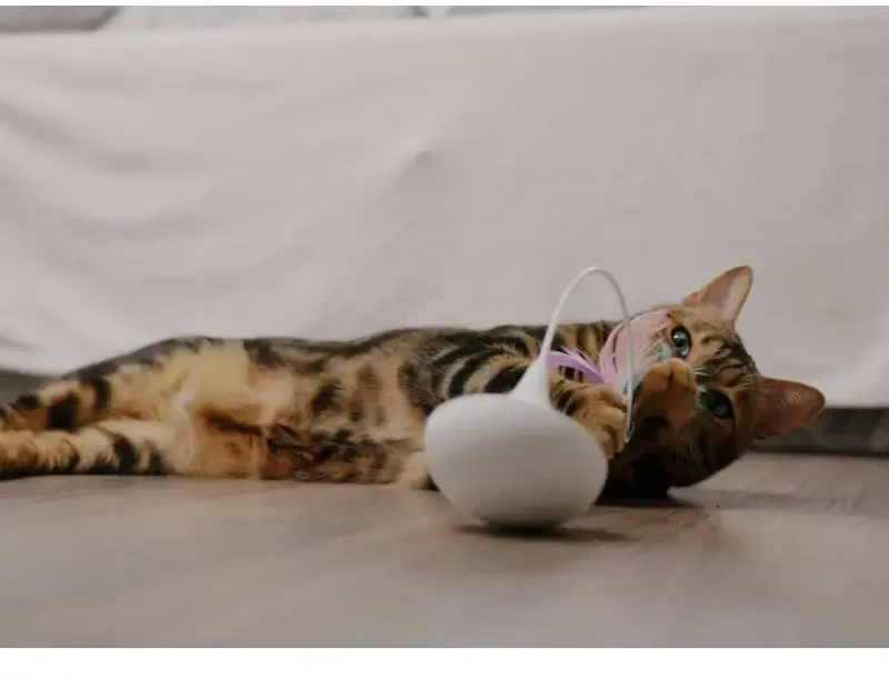 Katės žaislas: Placek Cat Epic Pet besisukančios plunksnos 8 cm