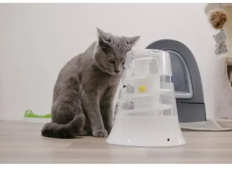 Žaislas katėms: „Placek Cat Epic Pet“ automatinis kamuoliukas-slankiklis 20 cm.