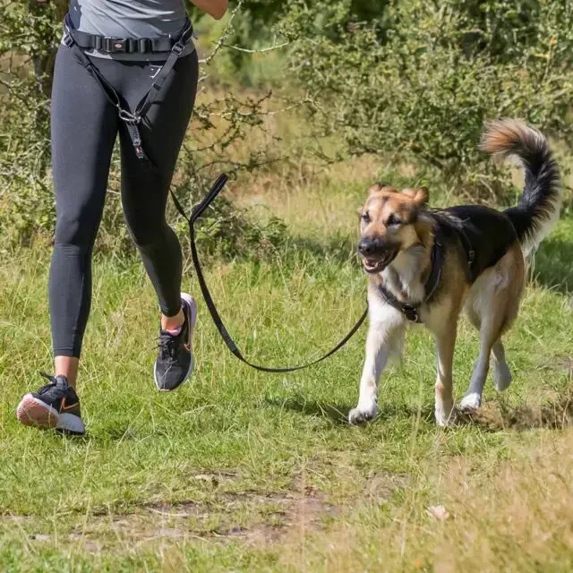 TRIXIE Juosmens diržas su pavadėliu, paminkštintas neoprenu, diržas 70-130 cm-9 cm