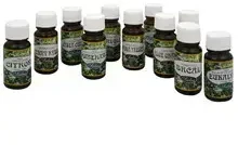 Saloos Peppermint essential oil 10 ml