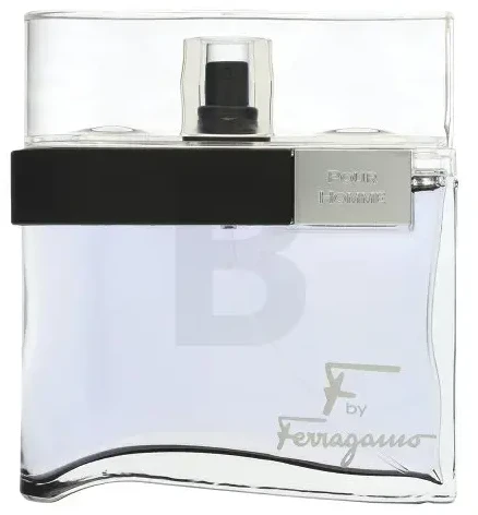 Kvepalai vyrams Salvatore Ferragamo F by Ferragamo Pour Homme Black EDT, 100 ml