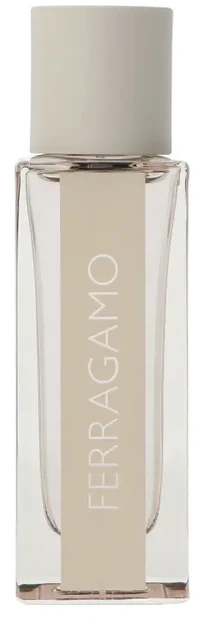 Salvatore Ferragamo Bright Leather EDT tualetinis vanduo vyrams, 30 ml