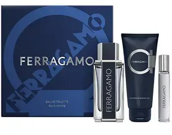 Salvatore Ferragamo Ferragamo - EDT 100 ml + 2v1 sprchový gel a šampon 100 ml + EDT 15 ml
