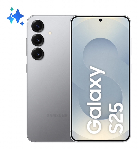 Išmanusis telefonas Samsung Galaxy S25 S931 5G Dual Sim 12GB RAM 256GB – Sidabrinis Shadow
