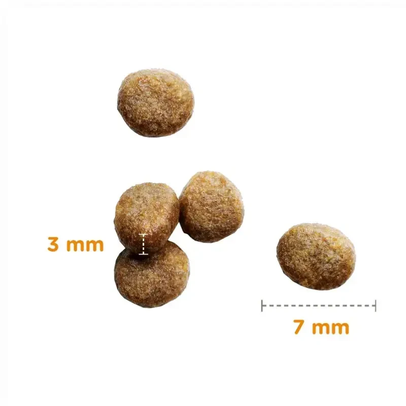 IAMS Kitten (vištiena) 3kg