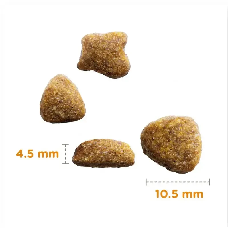 IAMS sausas maistas katėms su jūros žuvimi, 3kg