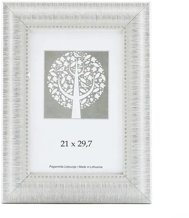 Savex Nuotraukų rėmelis, plastikinis, A4, 21x29,7 cm, baltos sp. vidinis rėmelis su ornamentu