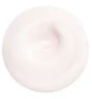 Shiseido Essential Energy Hydrating Day Kreminis For Face SPF 20 Refill Papildomas, 50 ml