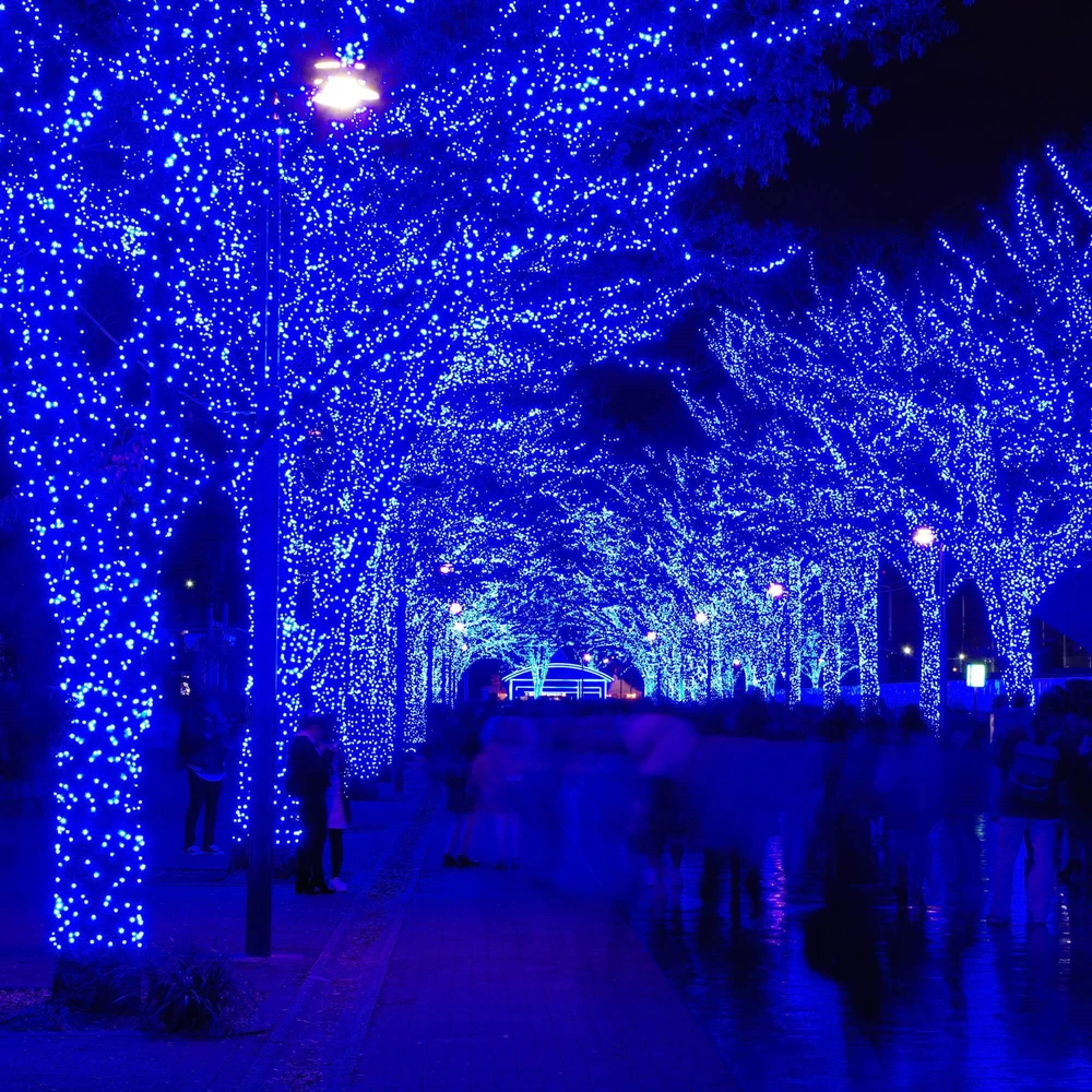 Kalėdinė girlianda Springos 500 LED, 41,5 m, IP44