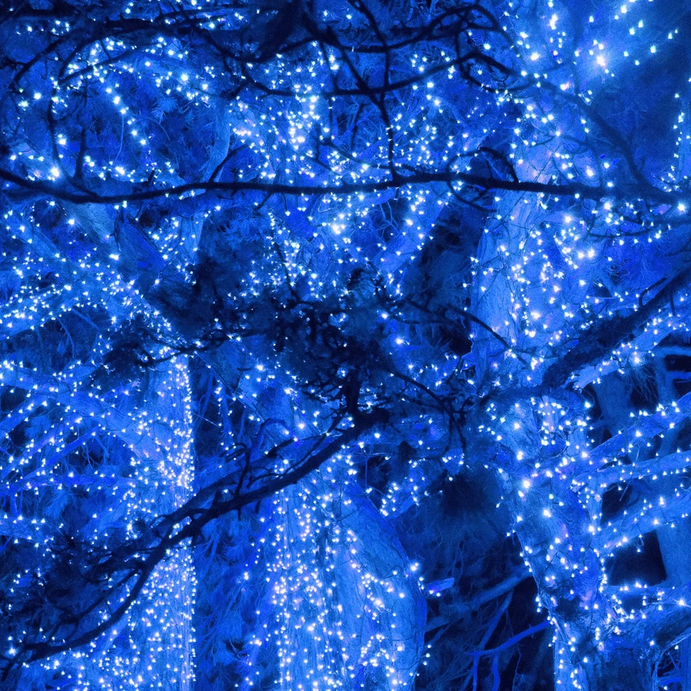 Kalėdinė girlianda Springos 500 LED, 41,5 m, IP44
