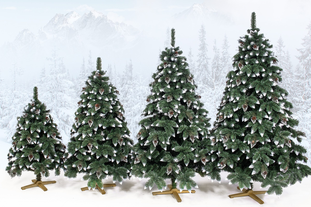 Springos CT0191 Dirbtinė Kalėdų eglutė 220 cm Premium Royal Trees, snieguota deimantinė pušis su kūgiais