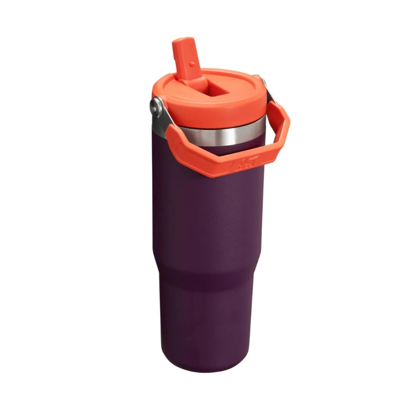 Stanley Termo puodelis su šiaudeliu, violetinis, 0.89l