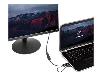 Adapteris AV StarTech HDMI – DisplayPort + USB-A prievadas (HD2DP)