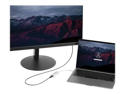 Startech Accessories USB C į mini DisplayPort vaizdo adapterio kabelis