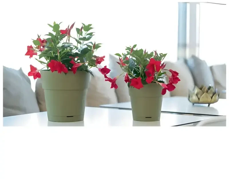 Stefanplast gėlių vazonas su padėklu Ethica Ø40x39cm žalias