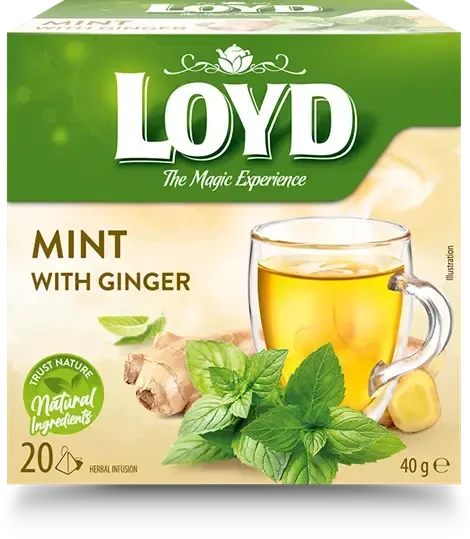 Arbata LOYD, mėtos ir imbiero skonio, 20x2 g