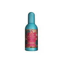Tesori D'Oriente Tesori d´Oriente Ayurveda EDP parfumuotas vanduo moterims, 100 ml
