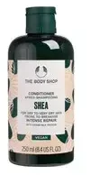 The Body Shop Conditioner Shea sviestmedžių atkuriamasis plaukų kondicionierius, 250 ml
