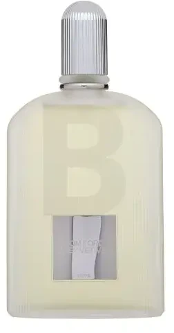 Kvepalai vyrams Tom Ford Grey Vetiver EDP, 100 ml