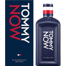 Kvepalai vyrams Tommy Hilfiger Tommy EDT, 100 ml