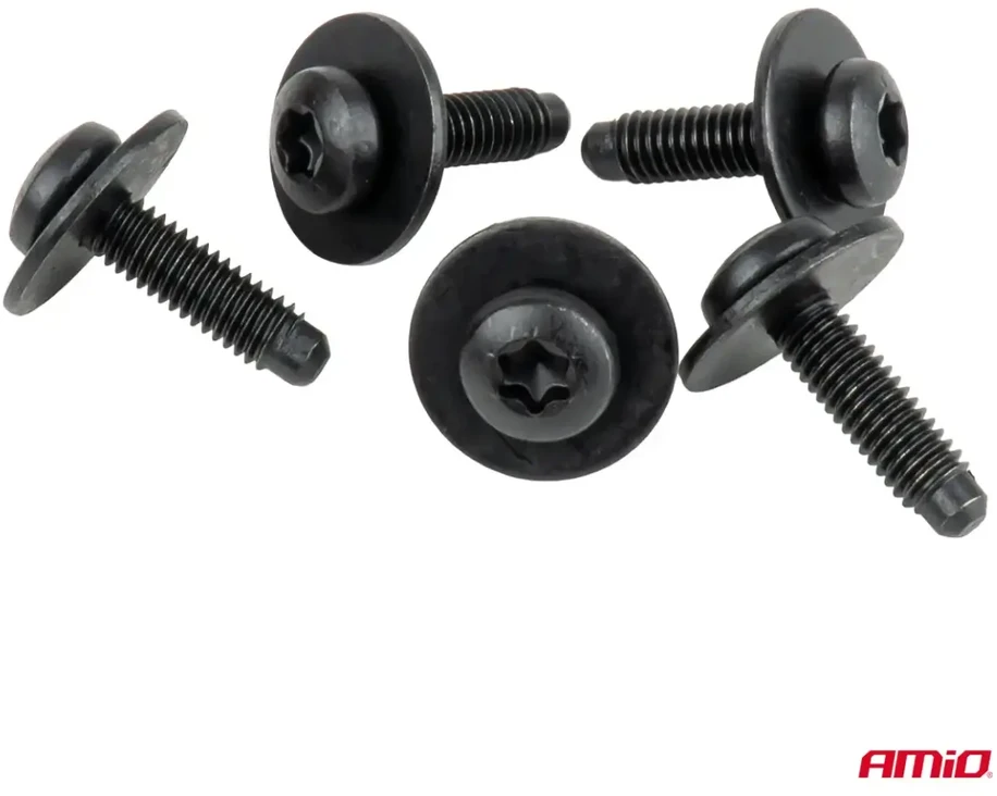 Varžtų su poveržle rinkinys ? 6 mm 23 mm torx 5 vnt. amio-05042