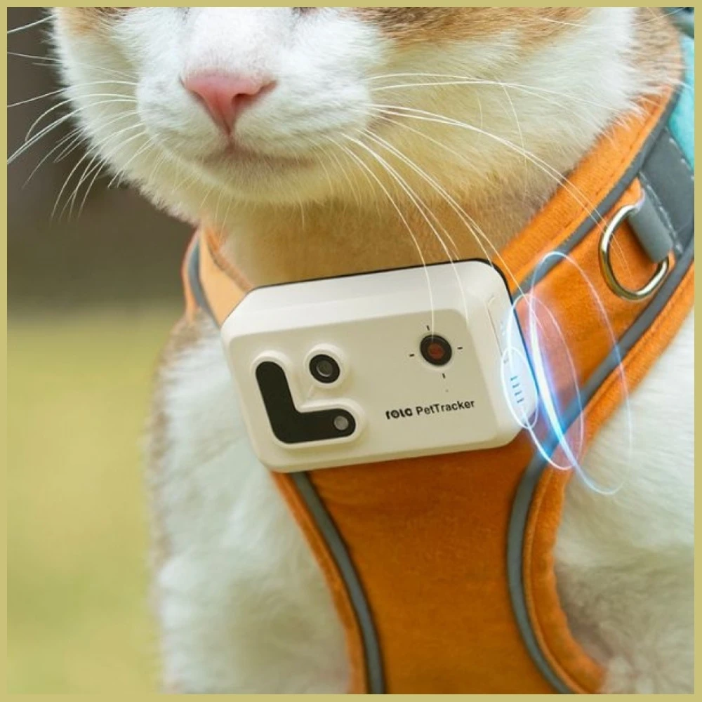 GPS sekimo pakabukas naminiams gyvūnams Enabot ROLA PetTracker, Baltas, SIM pridėta