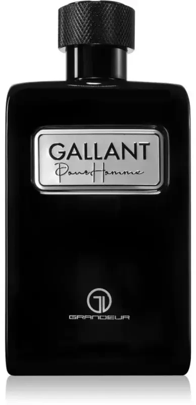 Grandeur Gallant EDP parfumuotas vanduo moterims, 100 ml