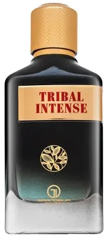 Grandeur Tribal Intense EDP parfumuotas vanduo vyrams, 100 ml