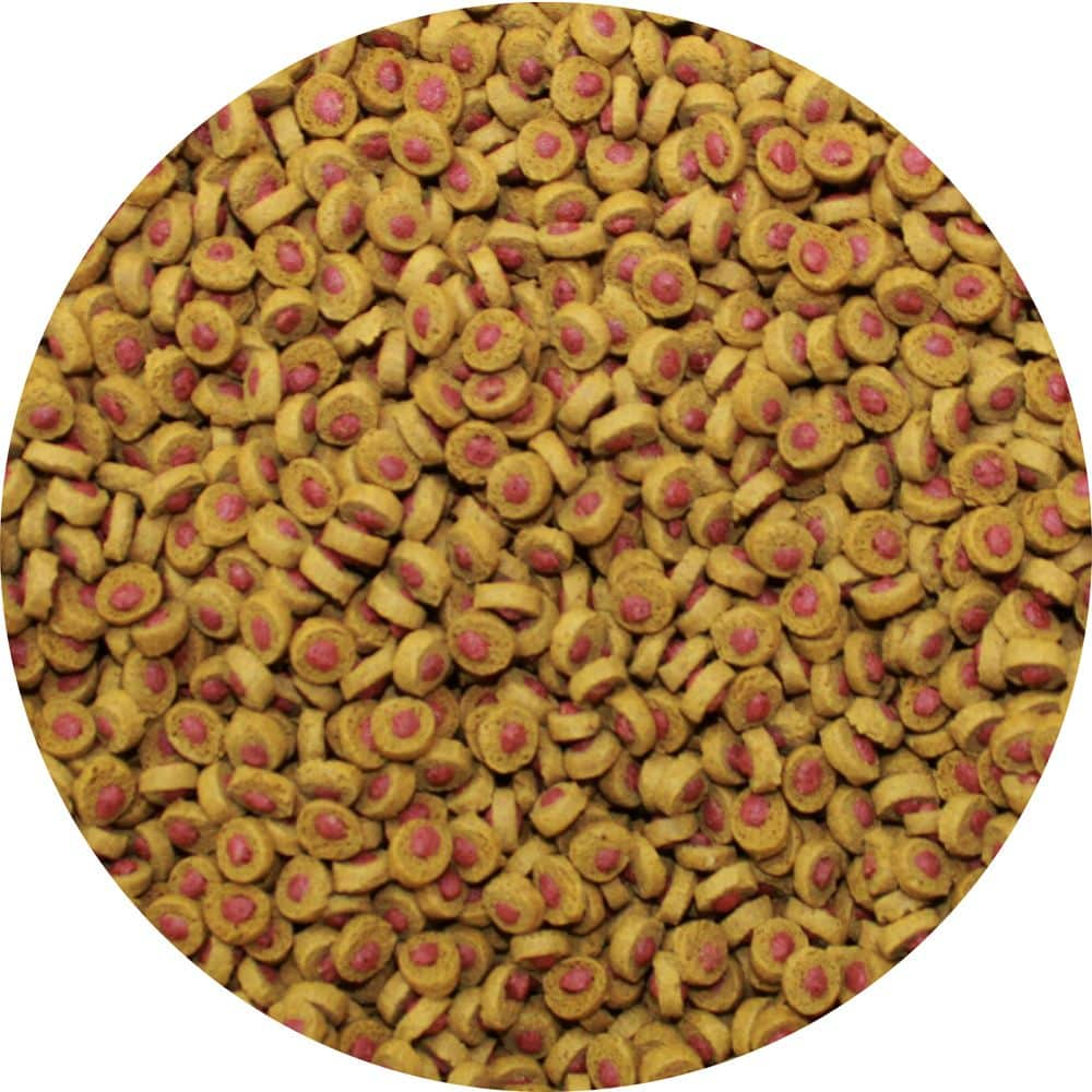 sera Koi Professional vasaros 500g