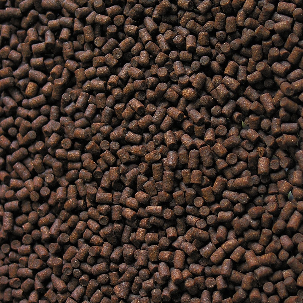 Sera Sterlet granuliukai 3,8 L (2kg)