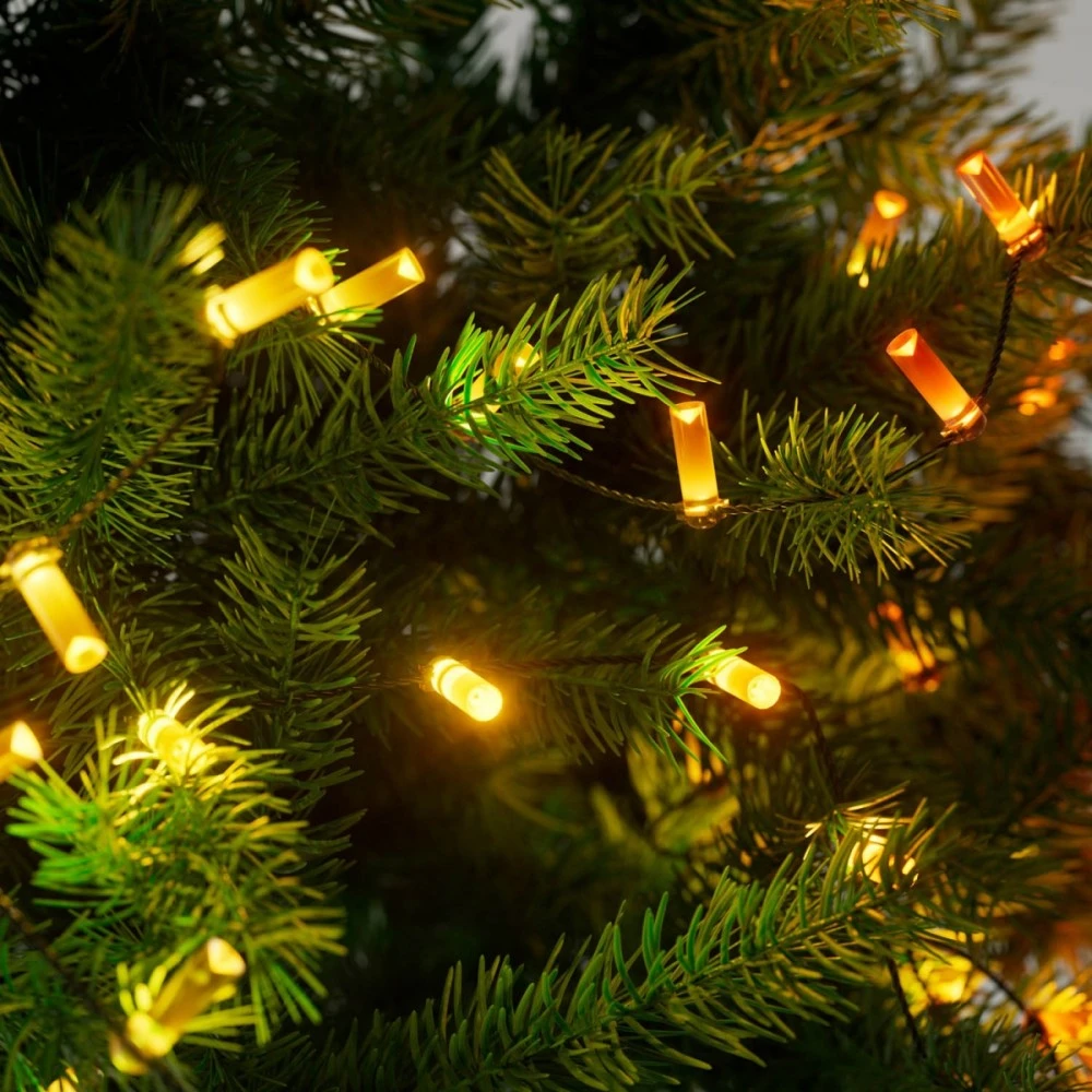 Kalėdinė girlianda Twinkly Candies 100 RGB LED USB- C, žalios spalvos laidas