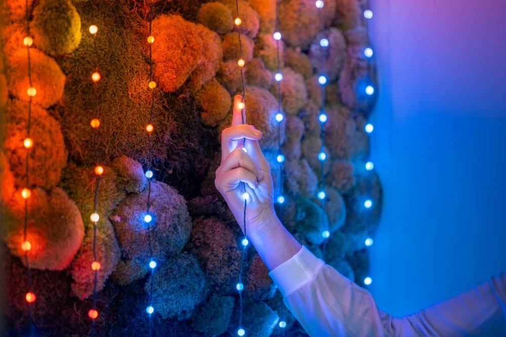 Kalėdinė girlianda Twinkly Candies 200 RGB LED USB- C, žalios spalvos laidas
