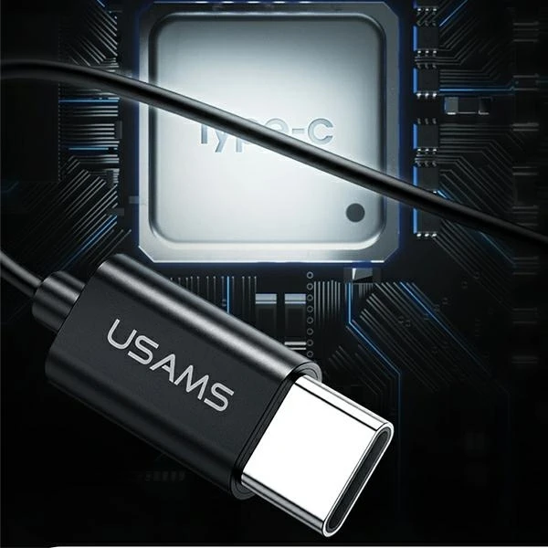 USAMS stereofoninės ausinės EP-43 metalinės USB-C žalios spalvos HSEP4302