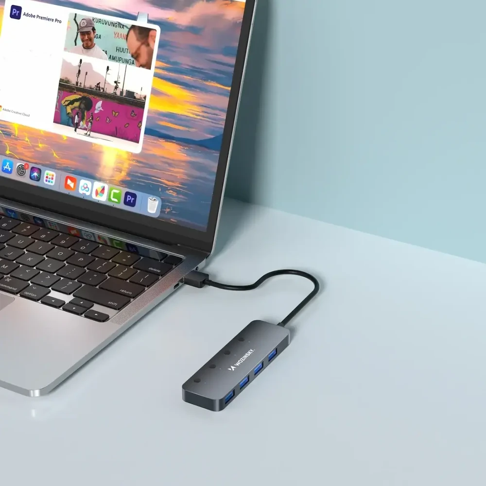 USB-A šakotuvas Wozinsky WHS080YSS 4 x USB-A 3.0 su atskirais jungikliais, aliuminis, su 30 cm laidu · pilka