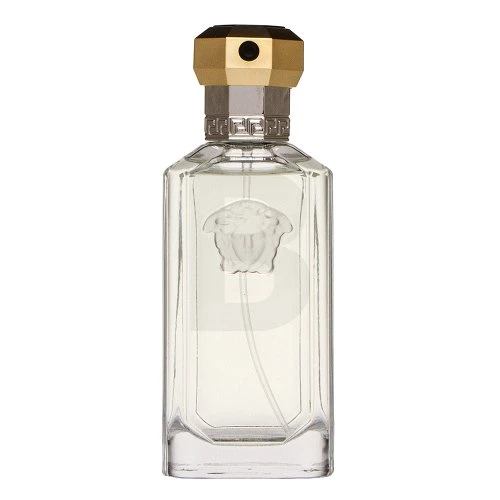 Kvepalai vyrams Versace The Dreamer EDT, 50 ml