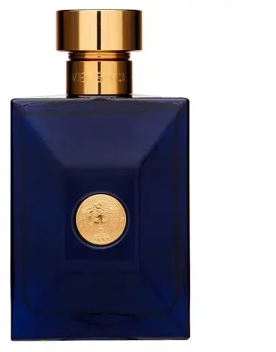 Kvepalai vyrams Versace Dylan Blue Pour Homme EDT, 100 ml