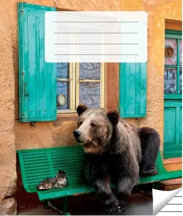 Victor Stationery Ou Sąsiuvinis linijomis, 36 lapai. Vidinių lapų gramatūra – 90 g/m2.