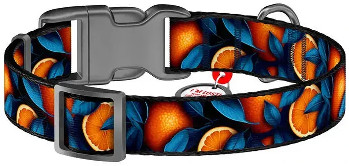 Waudog "Oranges" nailoninis šunų antkaklis su QR kodu, M dydis