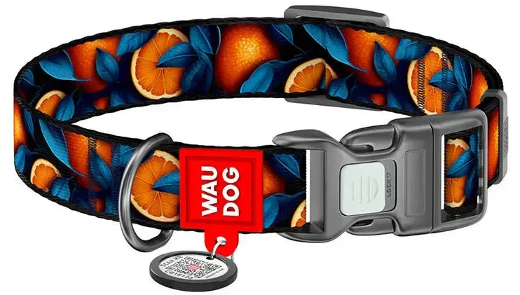 Waudog "Oranges" nailoninis šunų antkaklis su QR kodu, M dydis