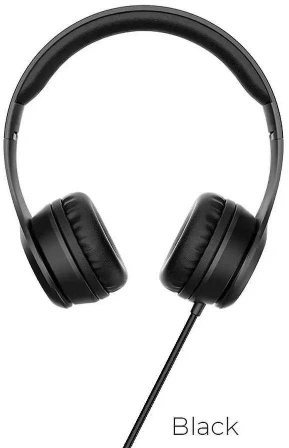 Wire ausinės Jack 3,5 mm Hoco W21 juodas