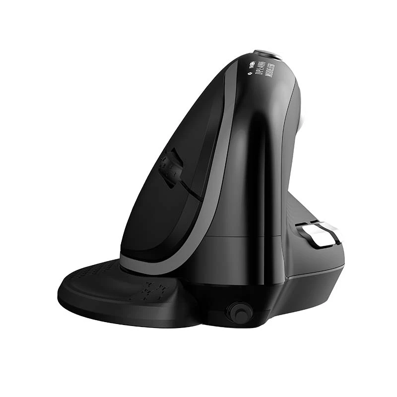 Belaidė ergonominė pelė Delux M618XSD BT+2.4G RGB
