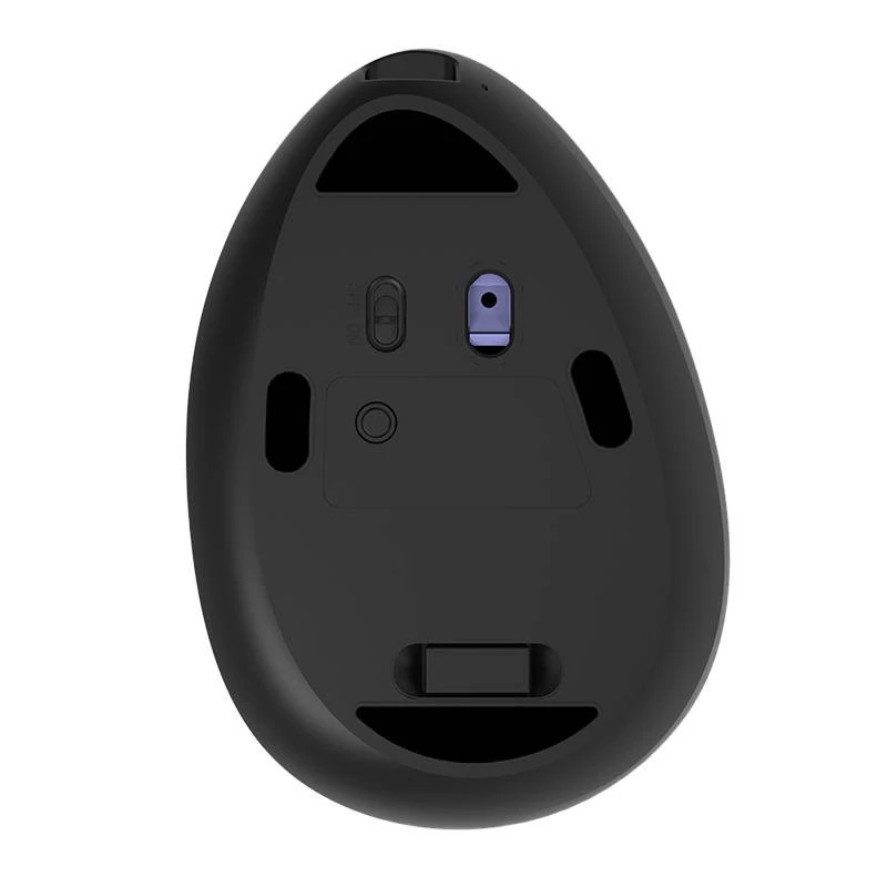 Belaidė vertikali pelė Delux M618DB BT4.0 + 2.4Ghz RGB