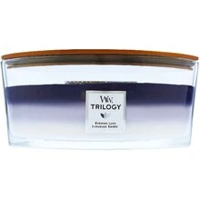 WoodWick Aromatinė žvakė (Evening Luxe), 453,6 g