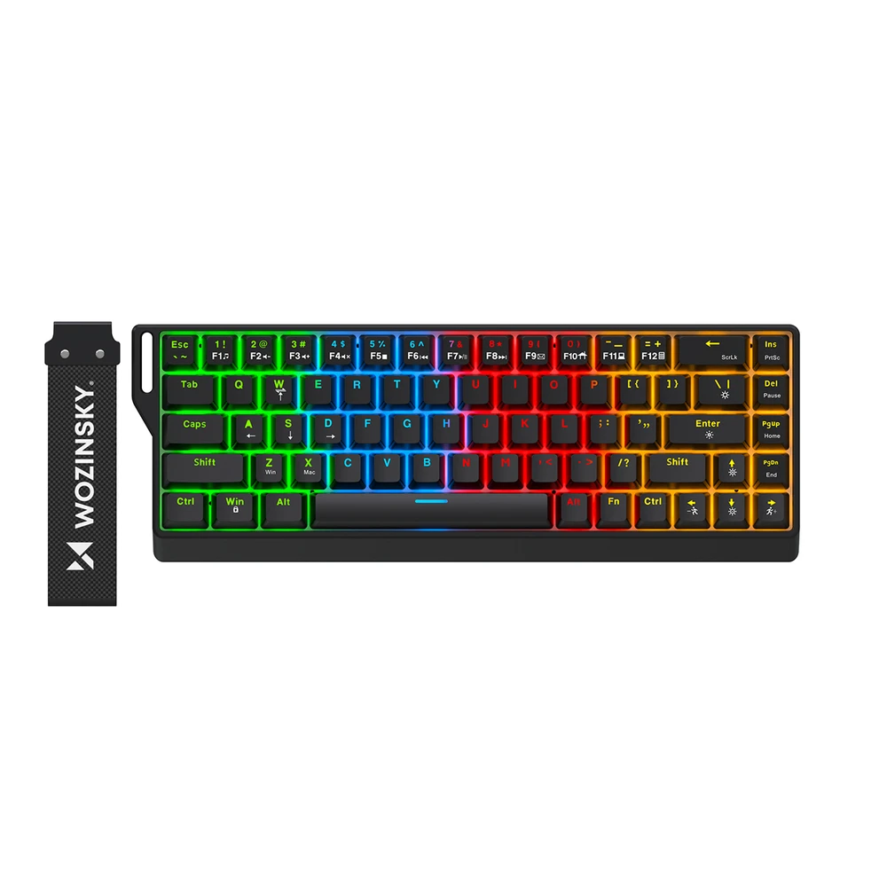 Wozinsky WKGP-1165 Mechaninė žaidimų klaviatūra su RGB apšvietimu – juoda