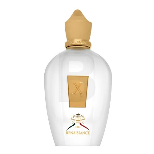 Xerjoff Renaissance EDP parfumuotas vanduo Unisex, 100 ml