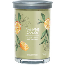 Yankee Candle Yankee žvakė „Salvia & Citrus“ 122 g