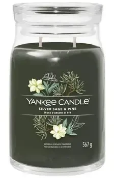 Yankee Candle Signature kvapni žvakė stiklinėje, maža, Sidabrinis Sage & Pine, 110 g