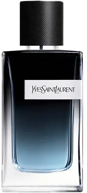 Yves Saint Laurent YSL Y For Men EDP parfumuotas vanduo vyrams, 200 ml
