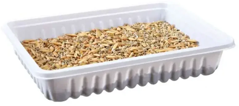 Trixie TRAWA graužikams W POJEMNIKU 100gr